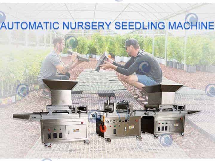 Automatic nursery seedling machine丨vegetable nursery seeder