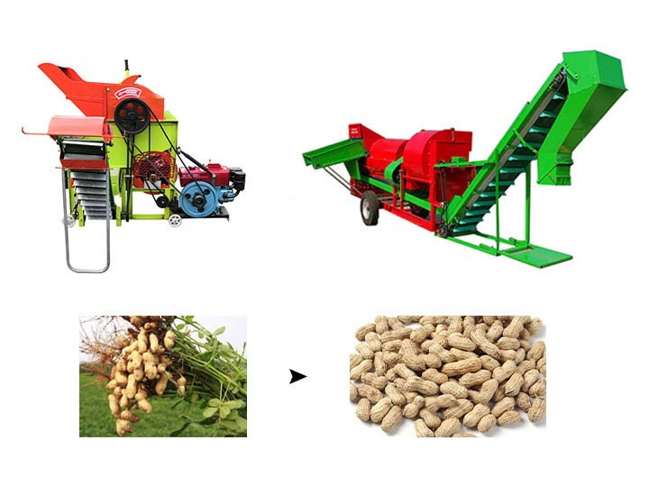 Peanut picker丨high capacity groundnut picking machine   